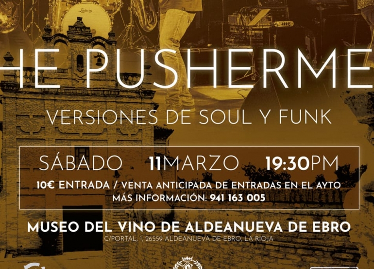 Nuevo concierto SABADO 11/03/2023 de Soul y Funk, con el grupo THE PUSHERMEN