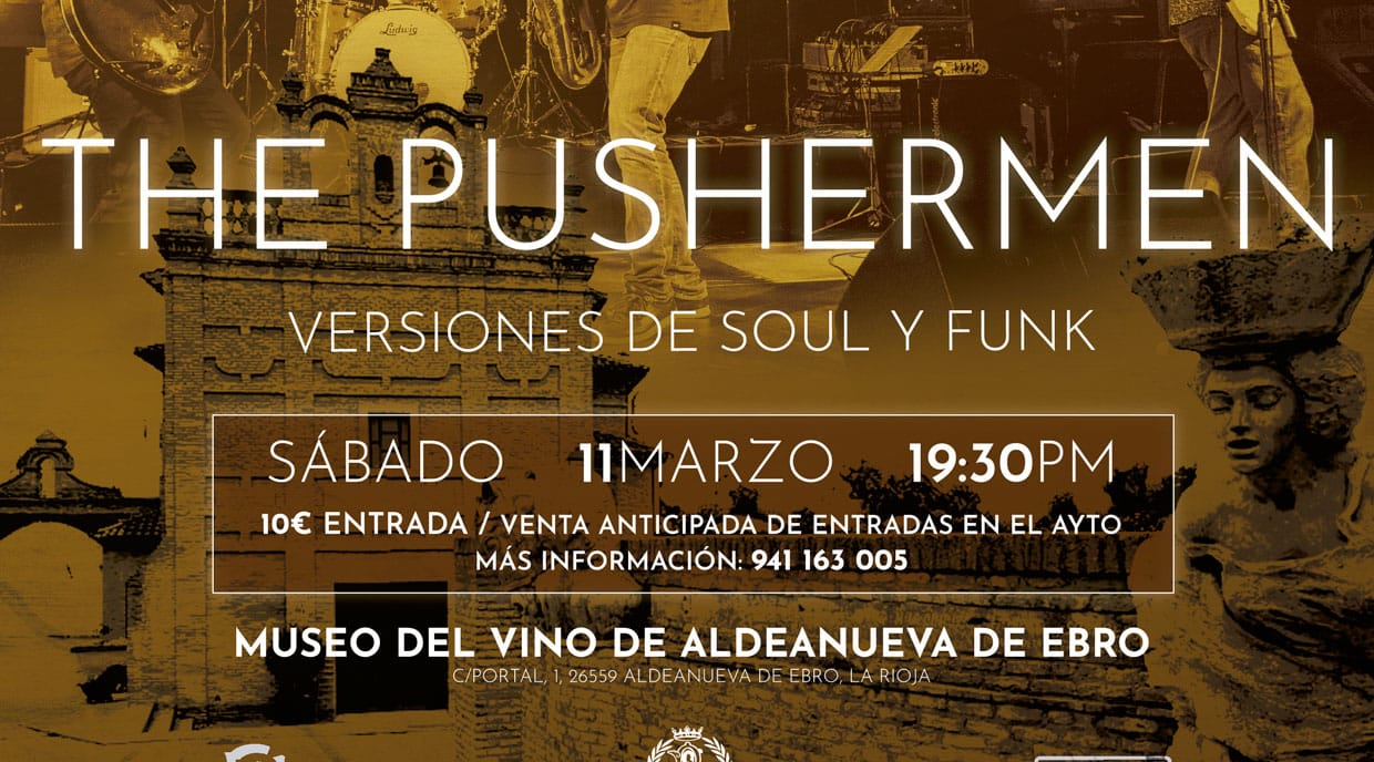 Nuevo concierto SABADO 11/03/2023 de Soul y Funk, con el grupo THE PUSHERMEN
